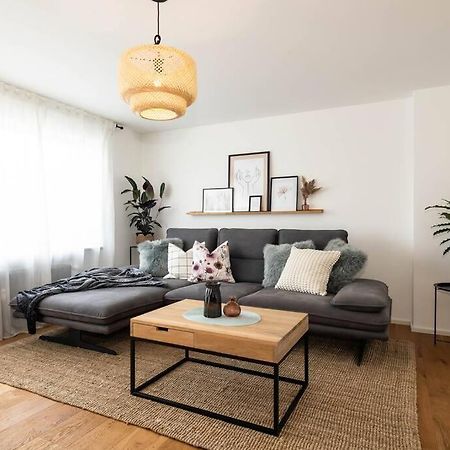 Luxury Apartment On The Rhein Бюзинген-на-Верхнем-Рейне Экстерьер фото