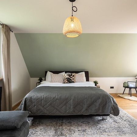 Luxury Apartment On The Rhein Бюзинген-на-Верхнем-Рейне Экстерьер фото