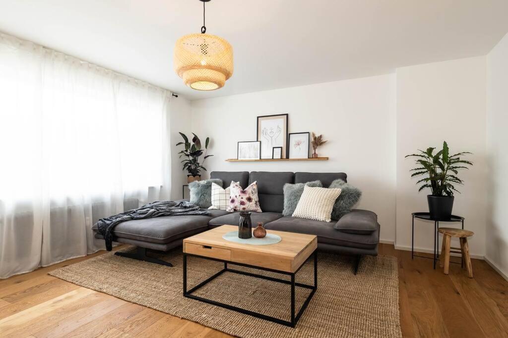 Luxury Apartment On The Rhein Бюзинген-на-Верхнем-Рейне Экстерьер фото