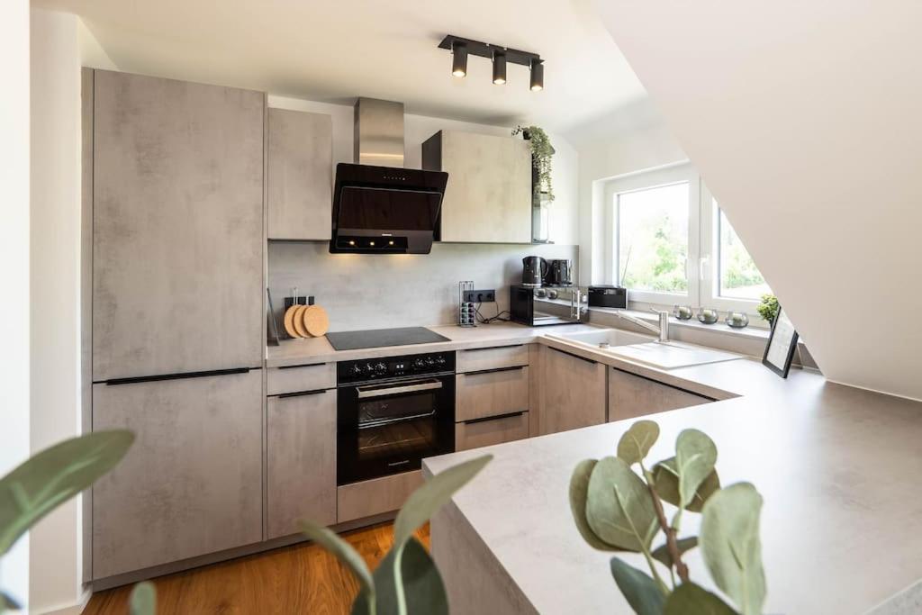 Luxury Apartment On The Rhein Бюзинген-на-Верхнем-Рейне Экстерьер фото