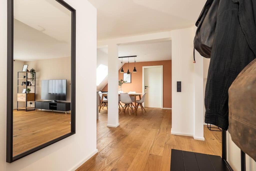 Luxury Apartment On The Rhein Бюзинген-на-Верхнем-Рейне Экстерьер фото