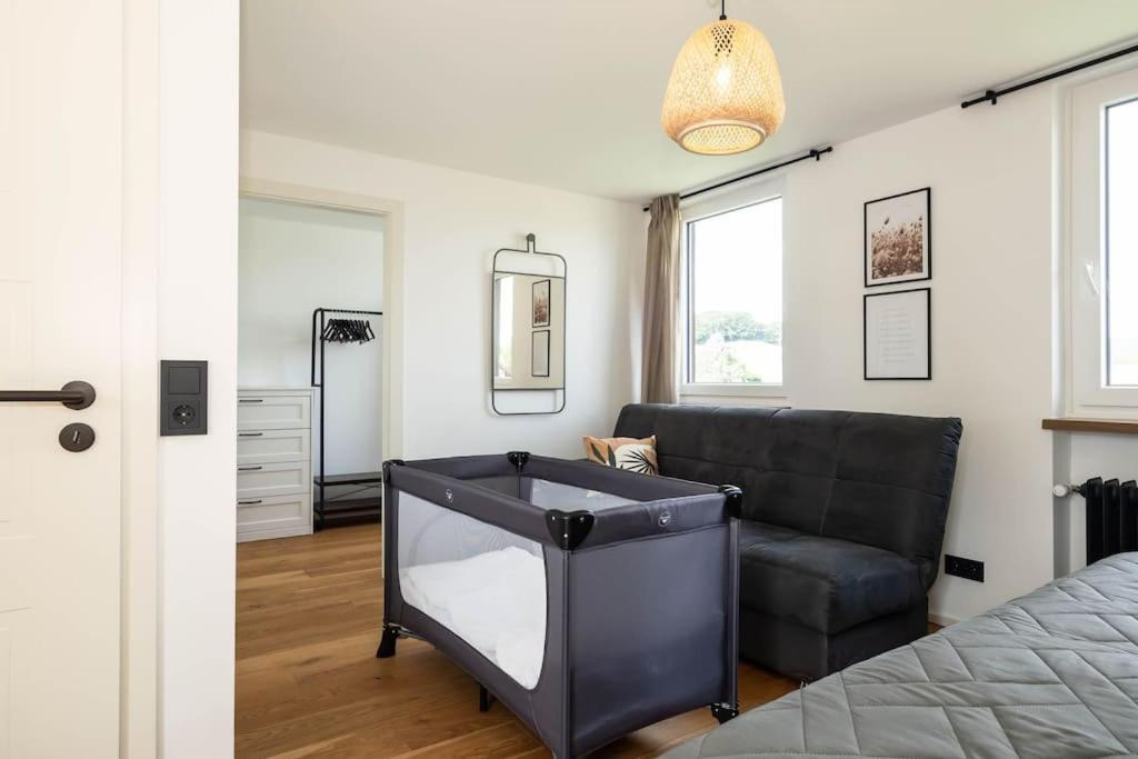 Luxury Apartment On The Rhein Бюзинген-на-Верхнем-Рейне Экстерьер фото