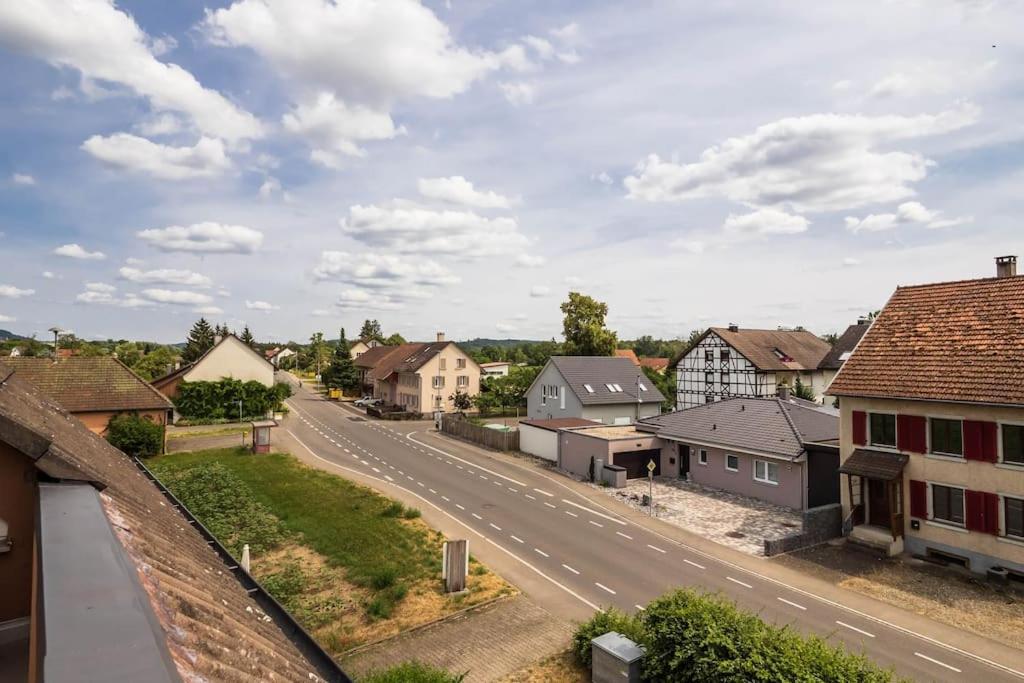 Luxury Apartment On The Rhein Бюзинген-на-Верхнем-Рейне Экстерьер фото