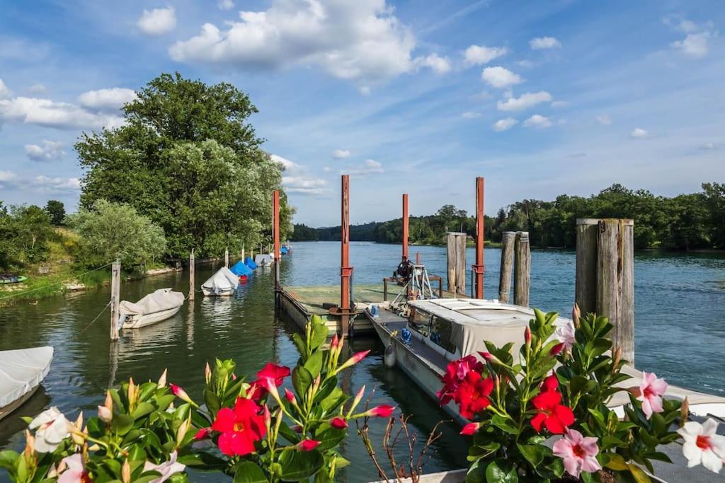 Luxury Apartment On The Rhein Бюзинген-на-Верхнем-Рейне Экстерьер фото