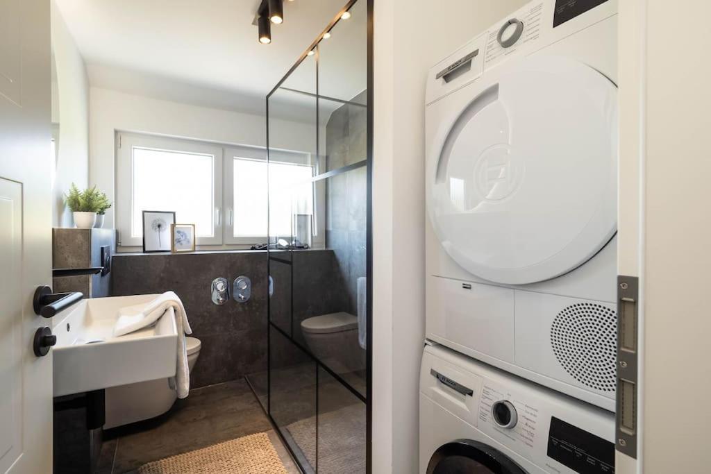 Luxury Apartment On The Rhein Бюзинген-на-Верхнем-Рейне Экстерьер фото