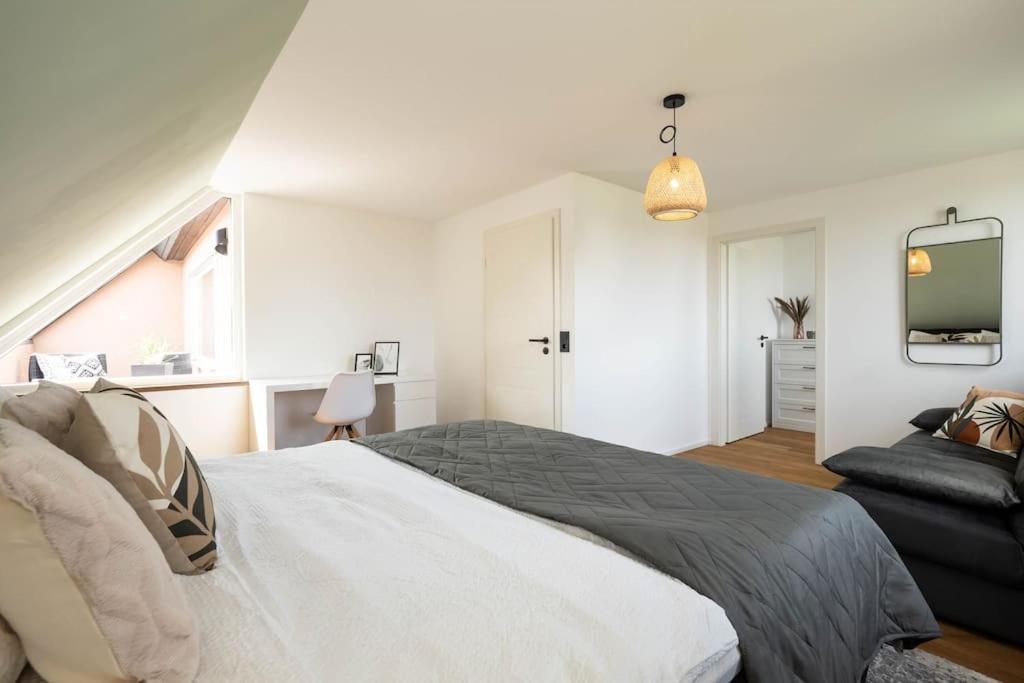 Luxury Apartment On The Rhein Бюзинген-на-Верхнем-Рейне Экстерьер фото