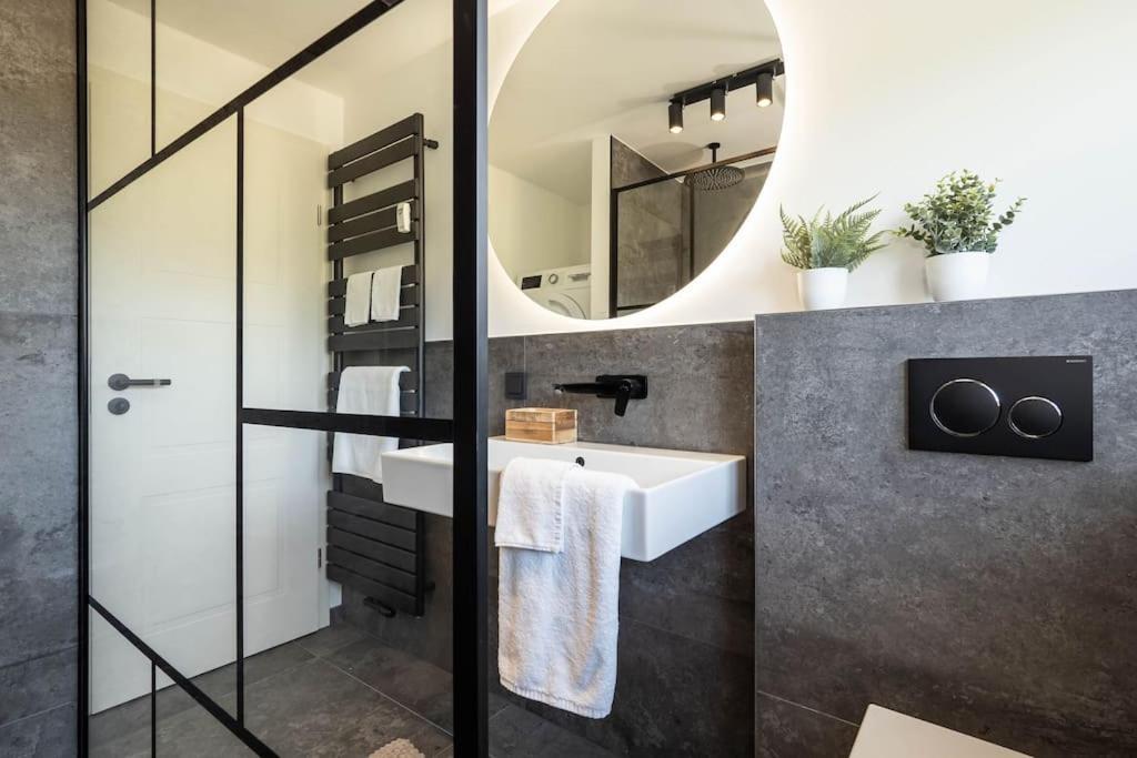 Luxury Apartment On The Rhein Бюзинген-на-Верхнем-Рейне Экстерьер фото