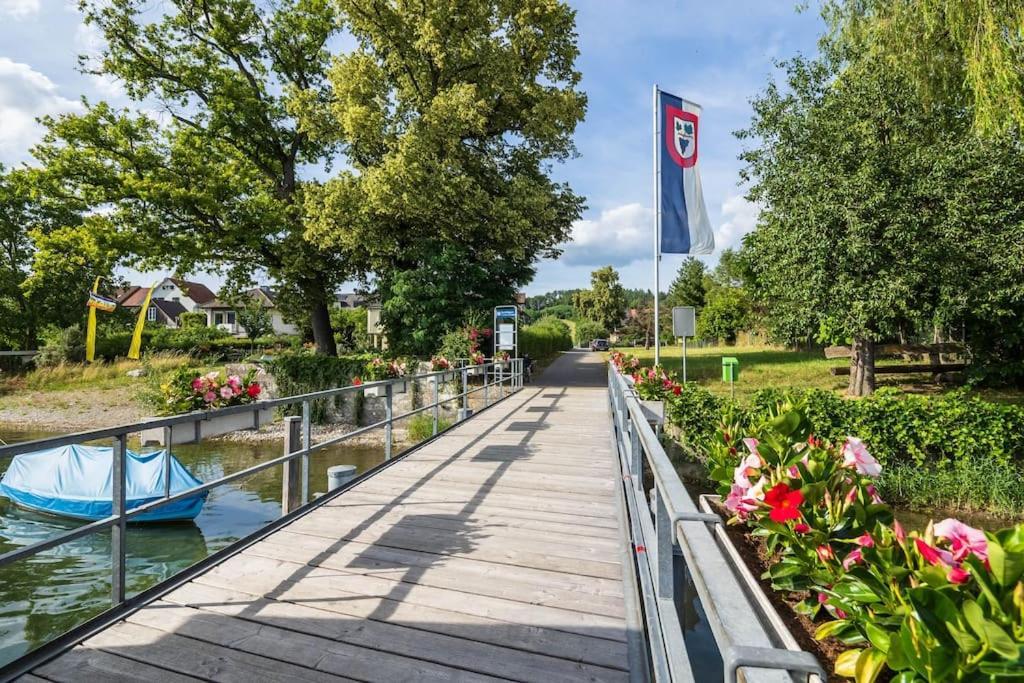 Luxury Apartment On The Rhein Бюзинген-на-Верхнем-Рейне Экстерьер фото