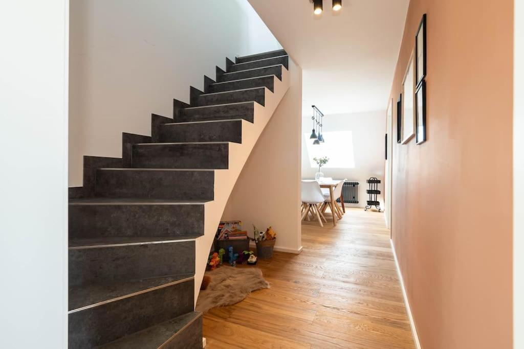 Luxury Apartment On The Rhein Бюзинген-на-Верхнем-Рейне Экстерьер фото