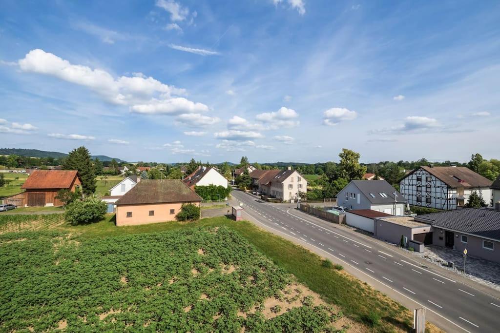 Luxury Apartment On The Rhein Бюзинген-на-Верхнем-Рейне Экстерьер фото