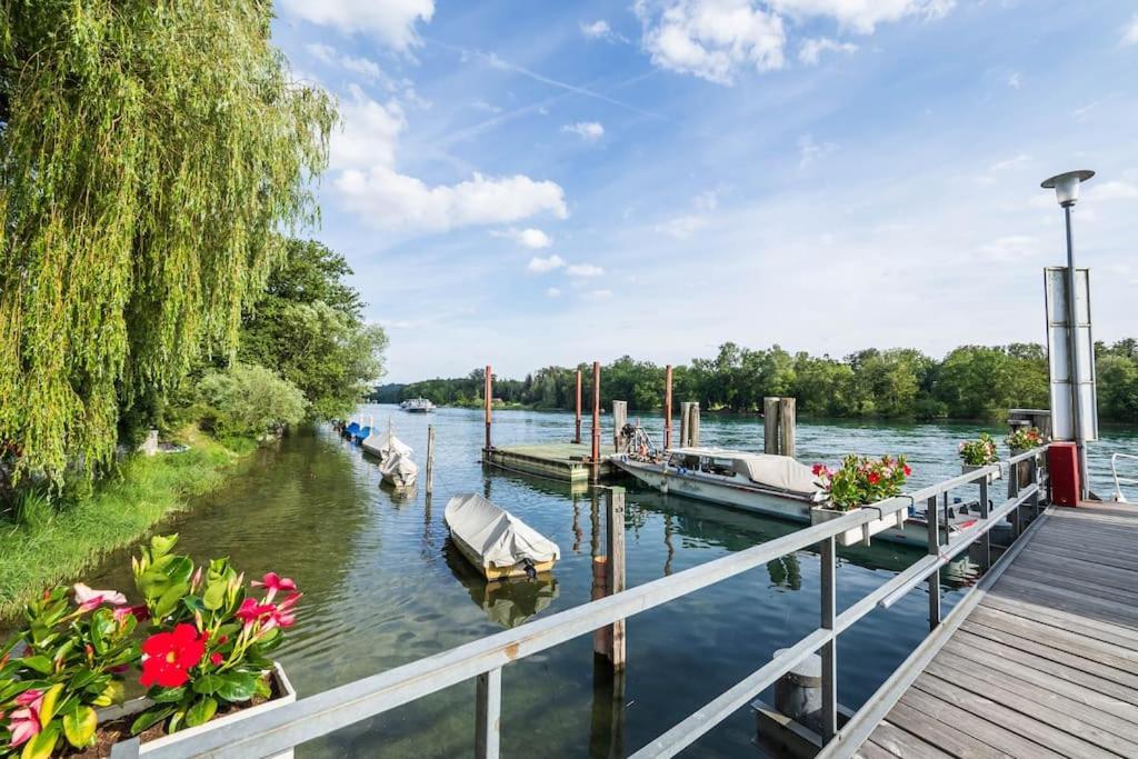 Luxury Apartment On The Rhein Бюзинген-на-Верхнем-Рейне Экстерьер фото
