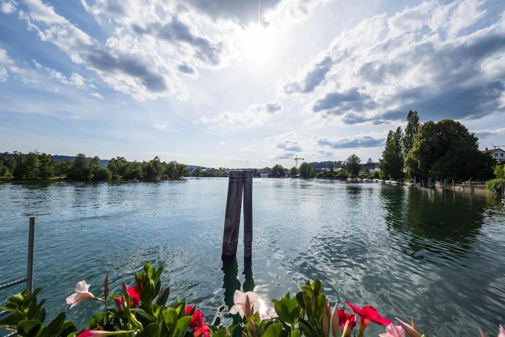 Luxury Apartment On The Rhein Бюзинген-на-Верхнем-Рейне Экстерьер фото