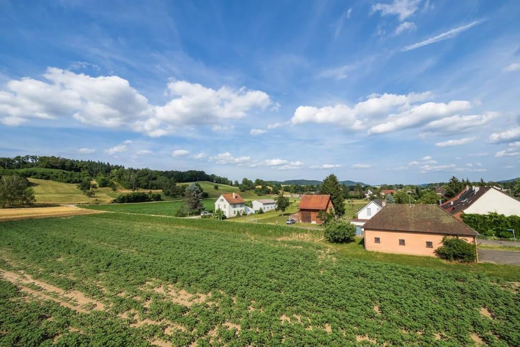 Luxury Apartment On The Rhein Бюзинген-на-Верхнем-Рейне Экстерьер фото
