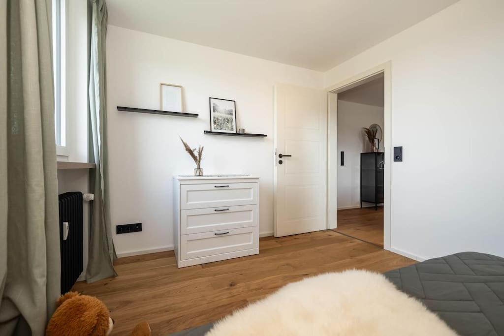 Luxury Apartment On The Rhein Бюзинген-на-Верхнем-Рейне Экстерьер фото